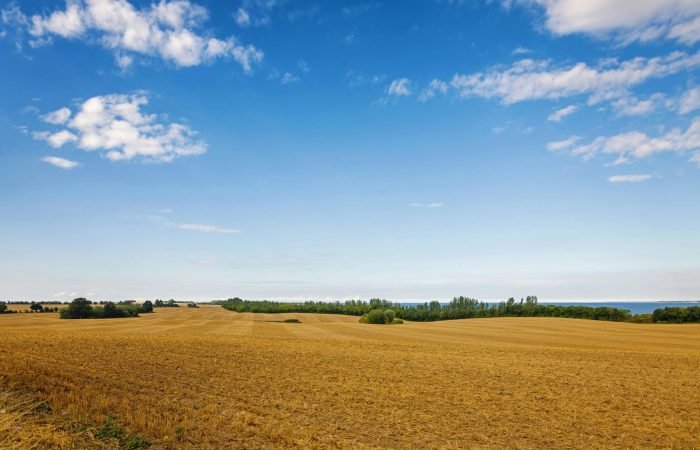 pexels-pixabay-221125